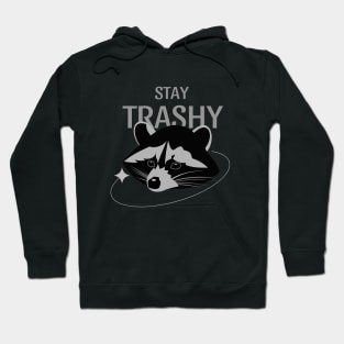 Raccoon Stay Trashy  graphic vector funny cute Hoodie